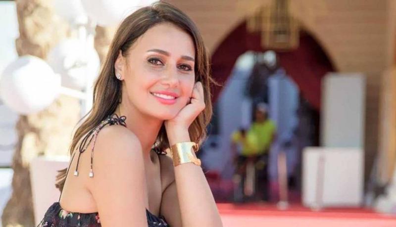 Hala Shiha Apologizes After Describing Art as 