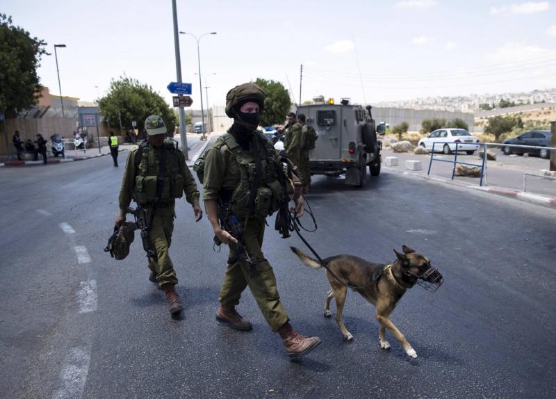 Dogs of Gaza Resist Israel as Army Accuses Hamas