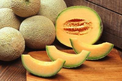 Cantaloupe Causes Panic in the United States