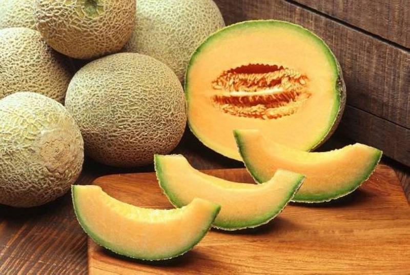 Cantaloupe Causes Panic in the United States