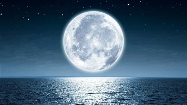 Have Humans Harmed the Moon?