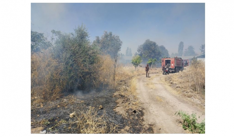 Title: Fire Near Baalbek Castle