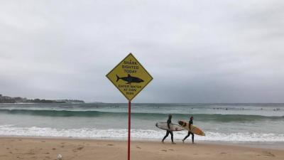 Closure of Some Florida Beaches Following Shark Attacks