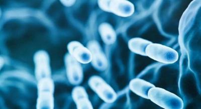 Disease Sparks Panic in Argentina!