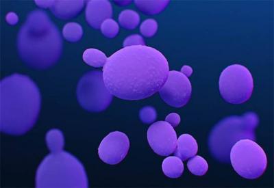 New York Issues Health Warning on "Deadly Disease"