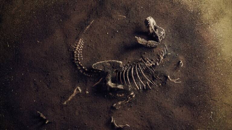 العثور على عظام أكبر ديناصور آكل للحوم في أوروبا