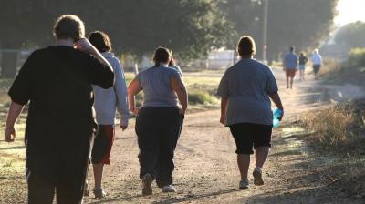 Significant Discovery Aids in Combatting Obesity