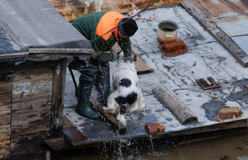 Shelter Overwhelmed with Large Numbers of Animals Rescued from Floods in Russia