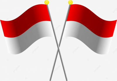 13 Dead and 38 Injured in Nickel Smelter Explosion in Indonesia