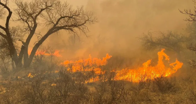 # Texas Wildfires Get Out of Control: Nuclear Facility Shutdown and Evacuation Orders