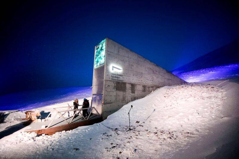 Doomsday Vault Receives Record Number of Seeds