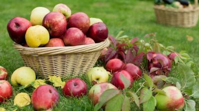 Fruits We Eat the Wrong Way... Get to Know Them