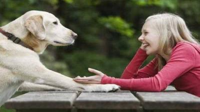 Talking to Animals Becomes Reality