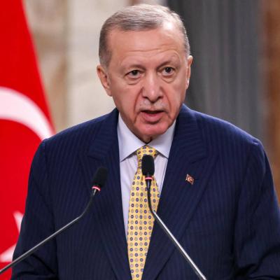Differences of Opinion Between Turkey and Greece on "Hamas"