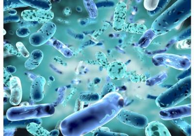 Japan: Record Spread of Deadly Bacteria and Government Investigates the Cause