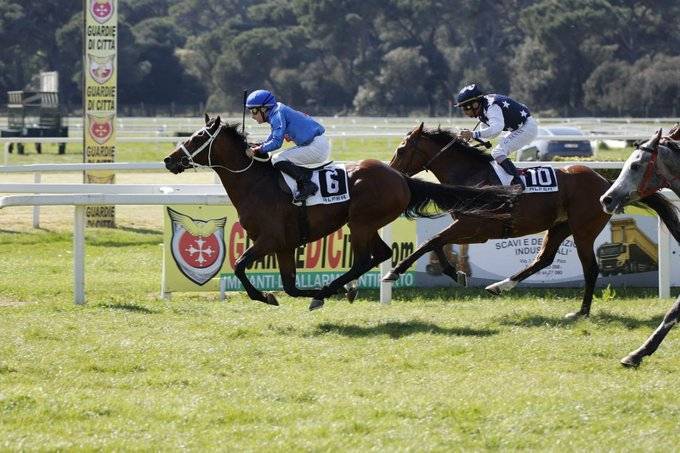 Tomorrow.. 7 Horses Compete for the 