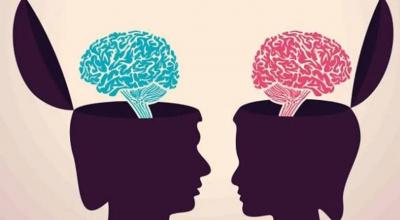 In Mathematics... Who Is Smarter, Males or Females?