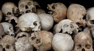 "Strange Matter"... Egyptian Skulls for Sale in Britain