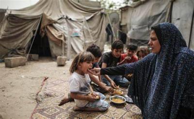 Food Insecurity in Gaza According to the World Health Organization