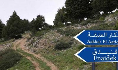 Mayor of Fnideq: Our Forests Are at Risk of Destruction