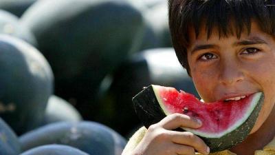 How Did Watermelon Become a Symbol of Solidarity with the Palestinians?