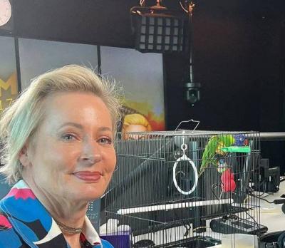 Presenter Attacked by a Bird During Live Broadcast!