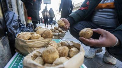 The "Truffle" War Intensifies in the Syrian Badia, Claiming Dozens of Victims