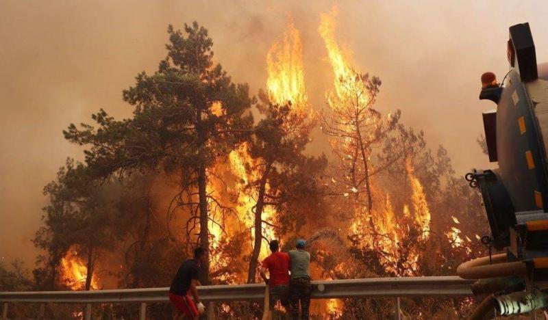 Title: 5 Dead and Dozens Injured in Forest Fires in Turkey