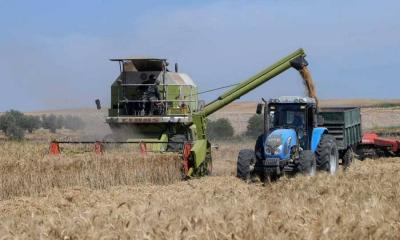 Climate Change Pushes Tunisia Towards Alternative Wheat Varieties