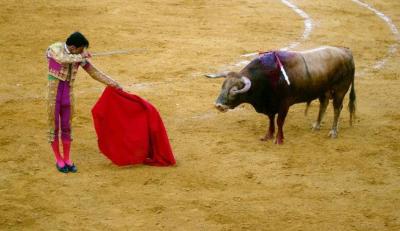 Spain Cancels Bullfighting Award... Conservatives Outraged