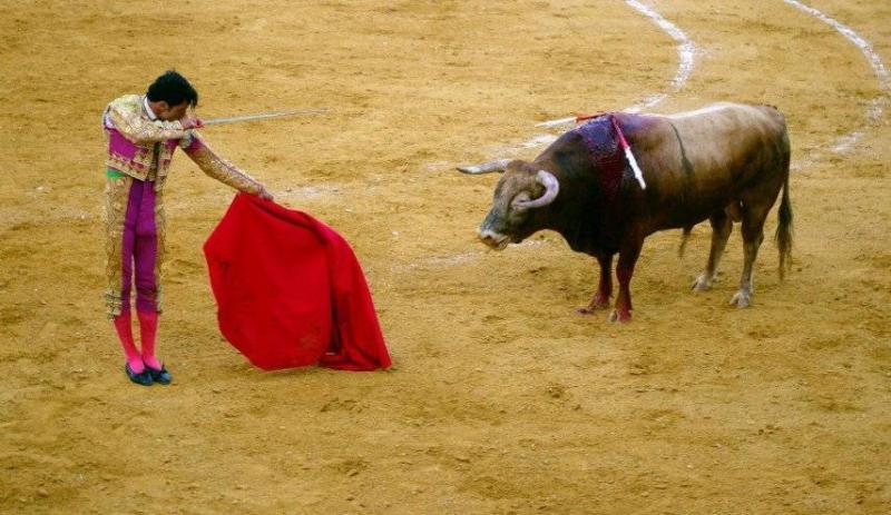 Spain Cancels Bullfighting Award... Conservatives Outraged