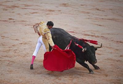 Spain Cancels National Bullfighting Award