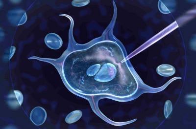 Study Reveals 275 Million New Genetic Variants