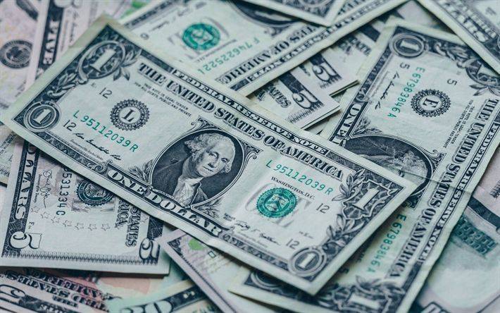 Fake Dollars in Egypt: Authorities Investigate Their Source