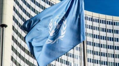 UN: We Welcome Israel's Announcement of a Temporary Halt to Operations in Gaza
