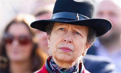 Title: Princess Anne Suffers Concussion