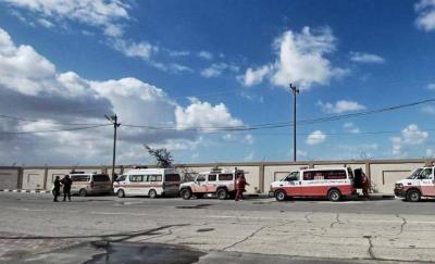 Evacuation of 28 Premature Babies from Gaza to Egypt