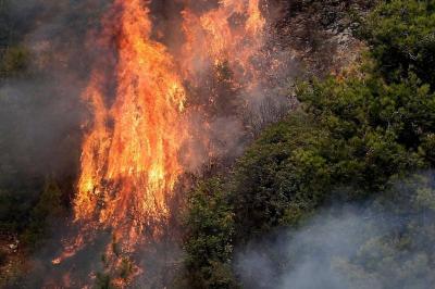 Warning of Fire Risk and Guidelines