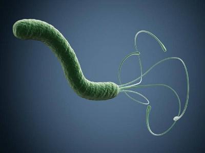 Common Bacterial Infection in the Stomach May Increase Alzheimer's Risk