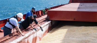 Ukraine Faces Red Sea Challenges in Grain Exports