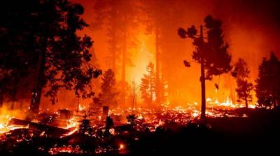 Wildfires in California Force Thousands to Evacuate