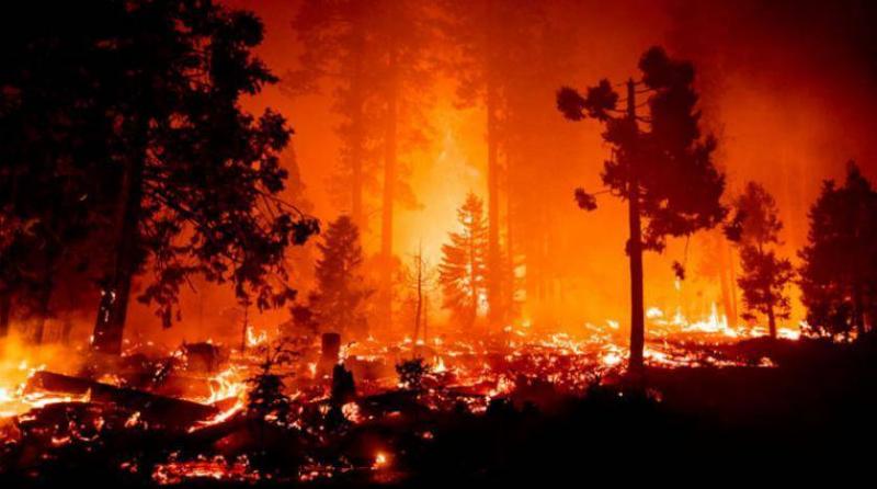 Wildfires in California Force Thousands to Evacuate