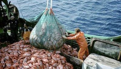 Cancellation of Fishing Agreement Between Morocco and Europe