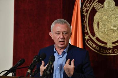 Frangieh: "If Necessary, I Will Announce My Candidacy"