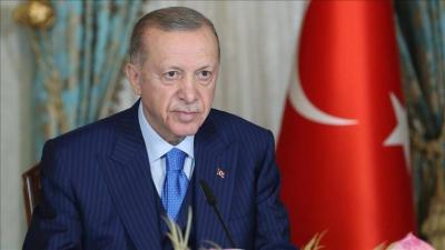 Erdogan Confirms Ruling Party and Ally's Commitment to Their Path