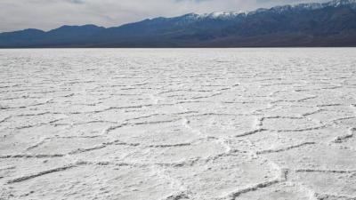 Rare Lake Forms in Death Valley