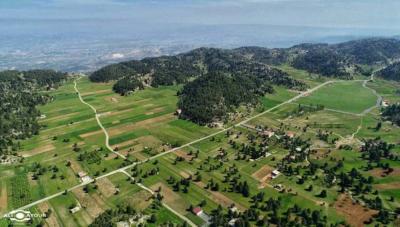 Contamination of Seawater with Petroleum Substances in Akkar Plain