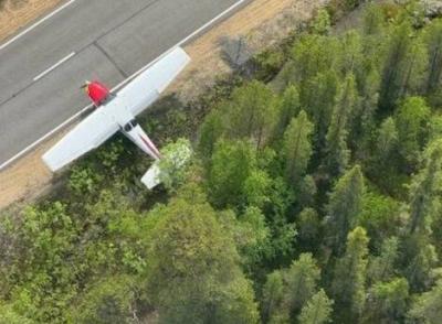 Emergency Landing of a Plane in Russia: What Happened?