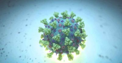 Discovery of a Male-Specific Killer Virus