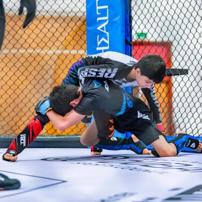 Dubai: Conclusion of the Mixed Martial Arts Championship